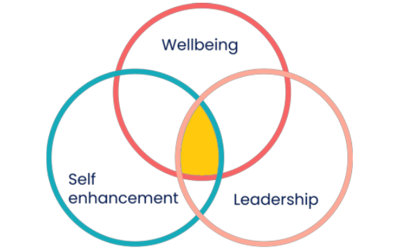 Coaching model diagram